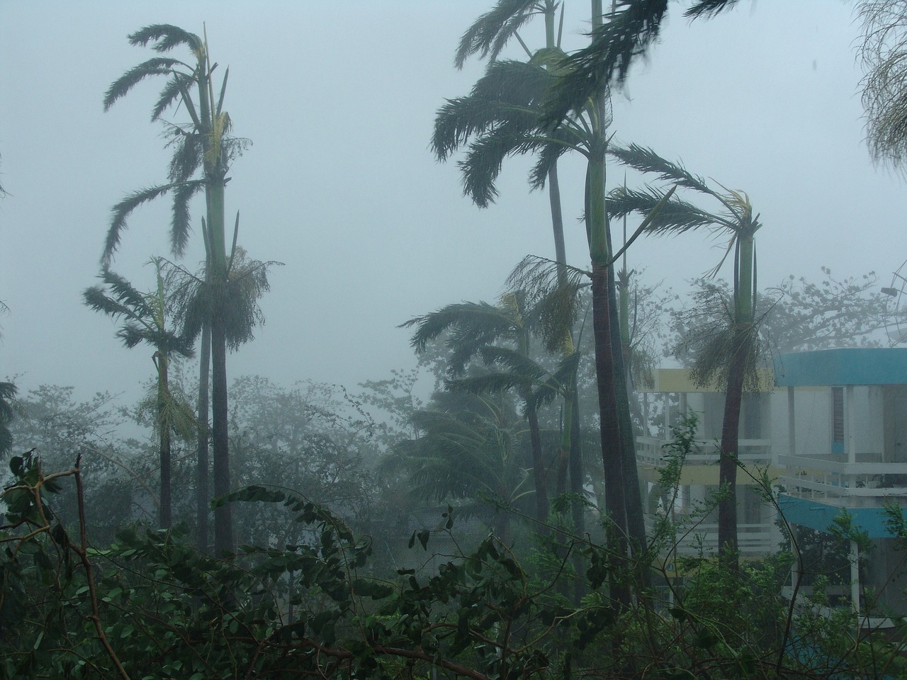 The Impact of Climate Change on Home Safety